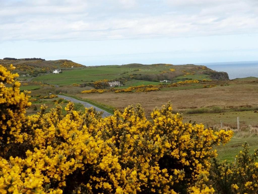 Glenmore House Ballycastle Dış mekan fotoğraf